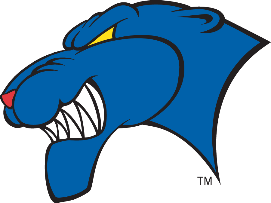 Georgia State Panthers 2002-2009 Alternate Logo DIY iron on transfer (heat transfer)